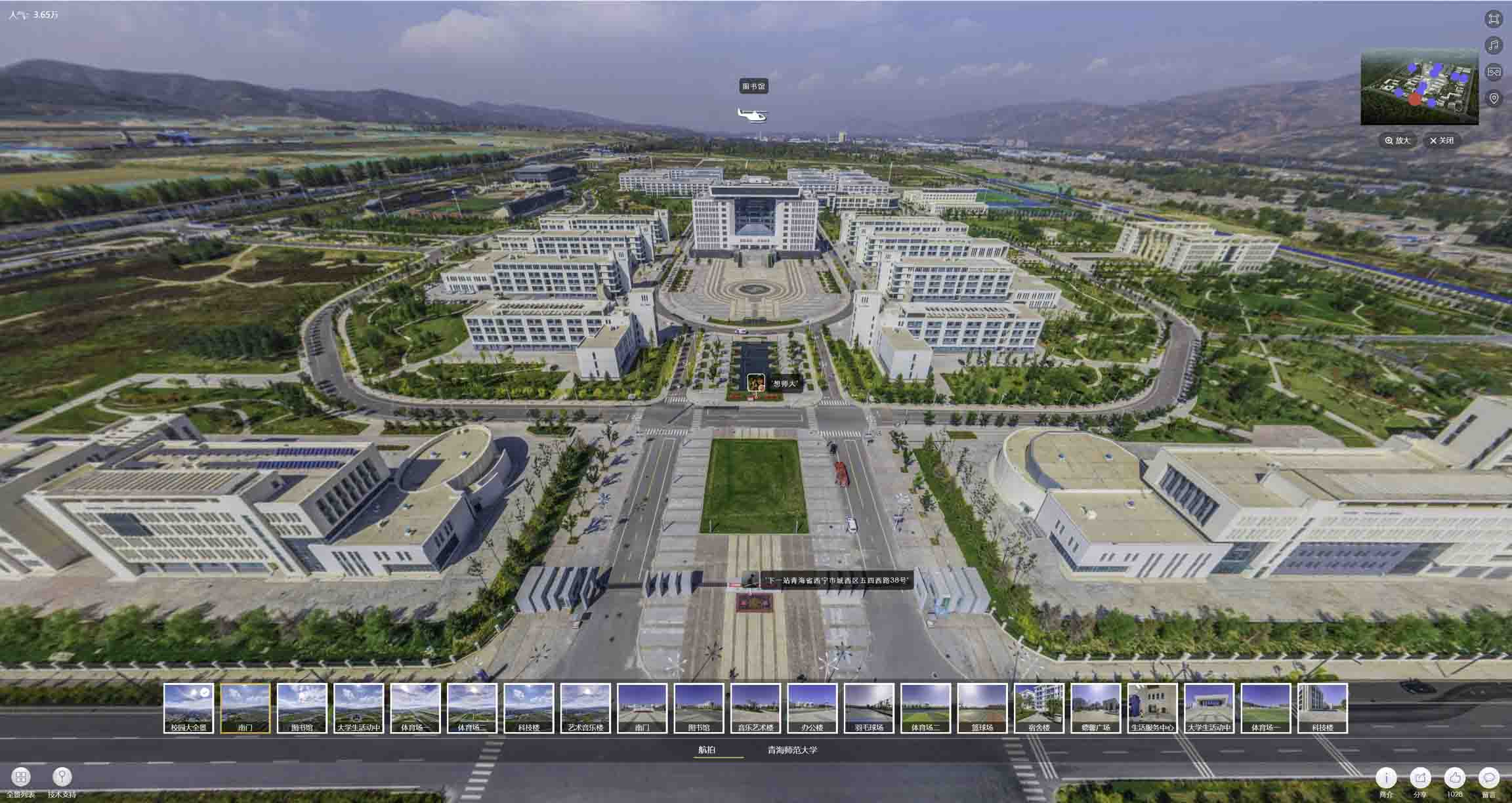 周矶办事处油菜花-惊艳半生的花海仙境